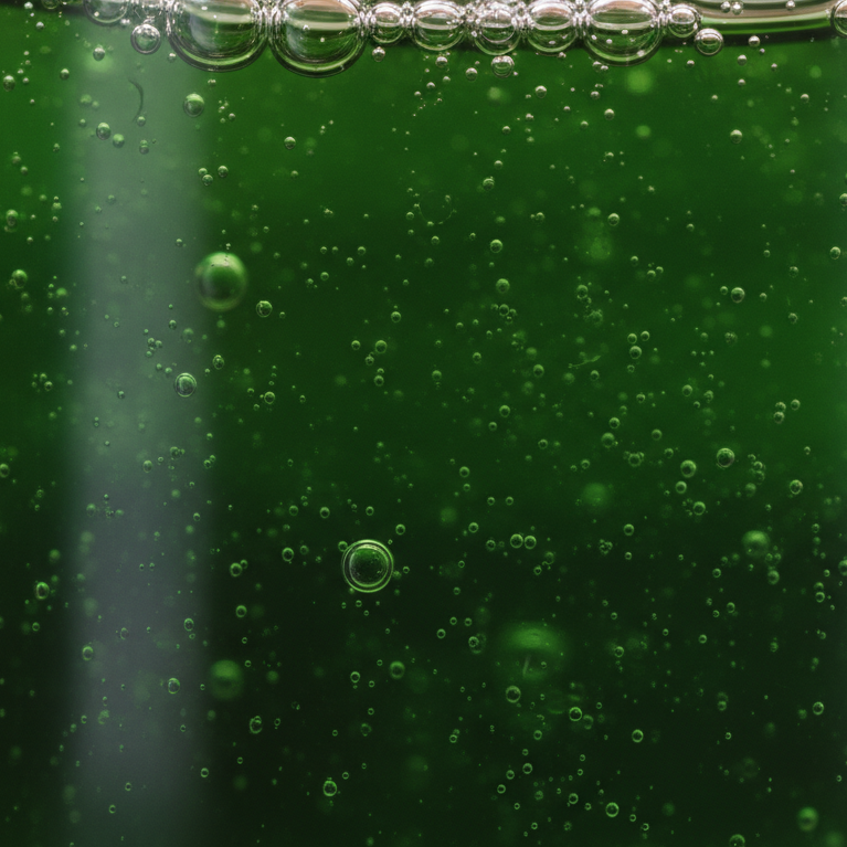 An ocean of deep green tamanu oil with micro bubbles
