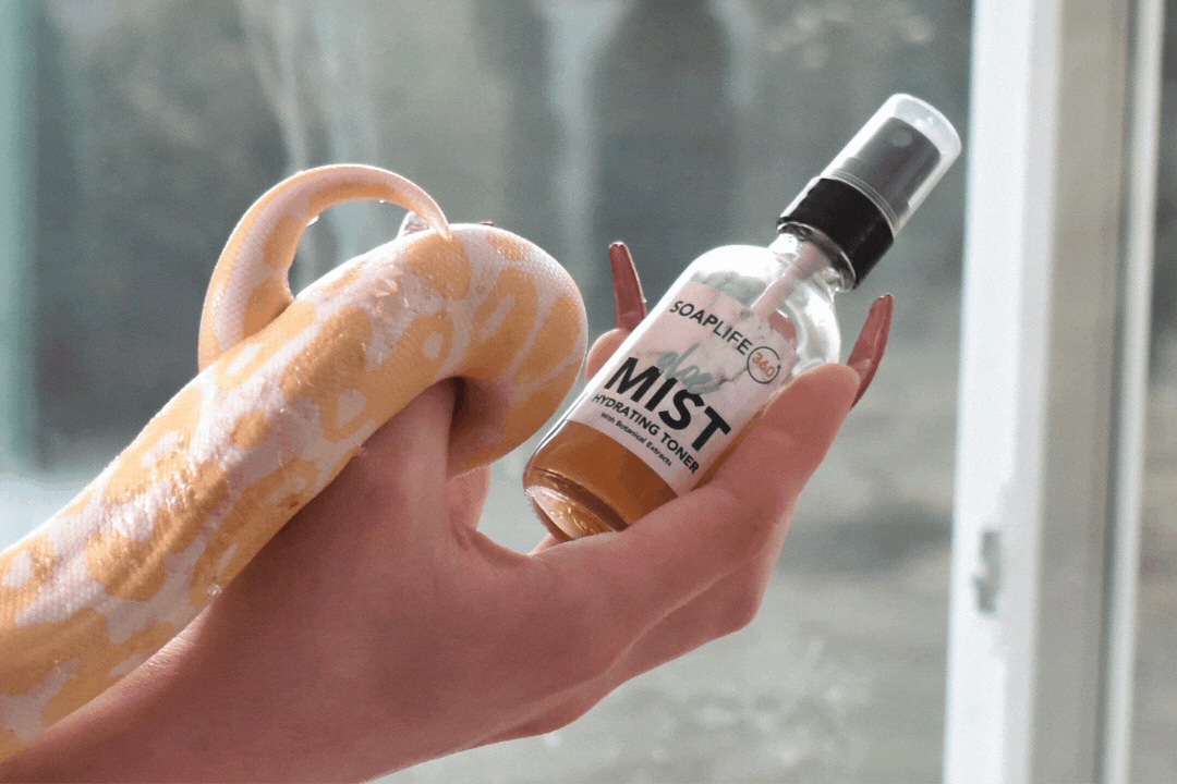 Aloe Mist Hydrating Toner – Refreshing & Balancing Facial Mist (SHORTY)